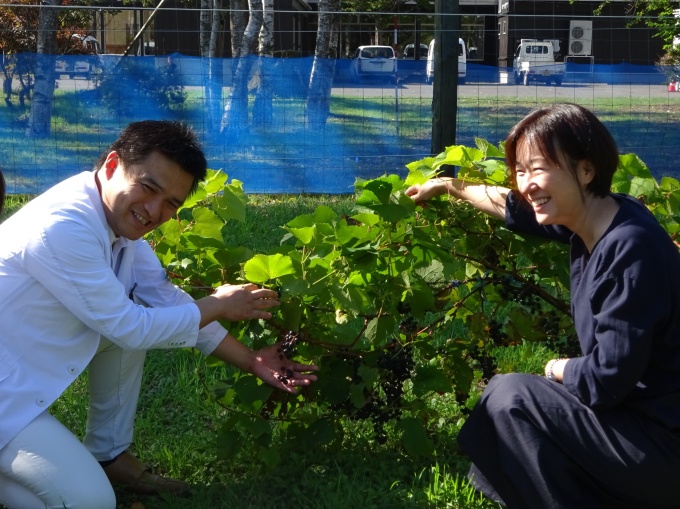 山ブドウ畑と理事長夫妻の写真