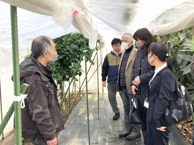 温室ハウス見学の様子